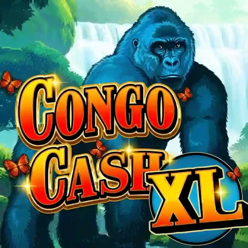 Congo Cash XL